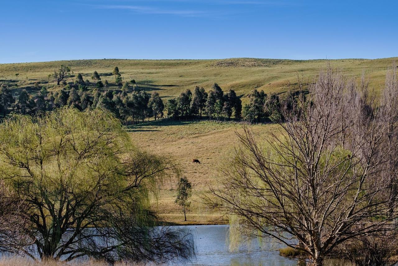 فندق Bendooley Estate بيريما المظهر الخارجي الصورة
