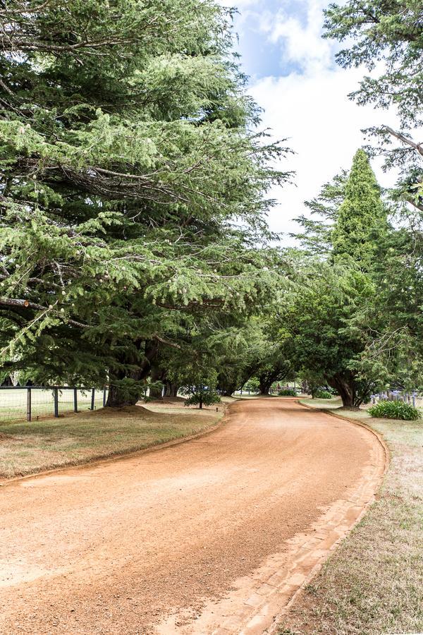 فندق Bendooley Estate بيريما المظهر الخارجي الصورة